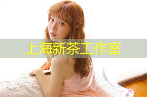 上海龙凤419：警方专班追查色情中介网站