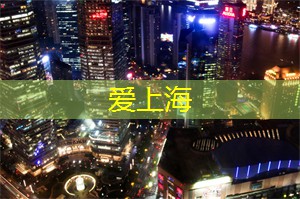 上海新茶工作室：夜上海体验游：带你穿越时空的热门景点！